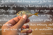 Coral waves. Font and clip arts., a Script Font by Red Ink (Thumbnail 3 of 14)