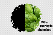 Bleach Effect Background Sublimation, a Brush Add-On by VetalStock (Thumbnail 2 of 4)