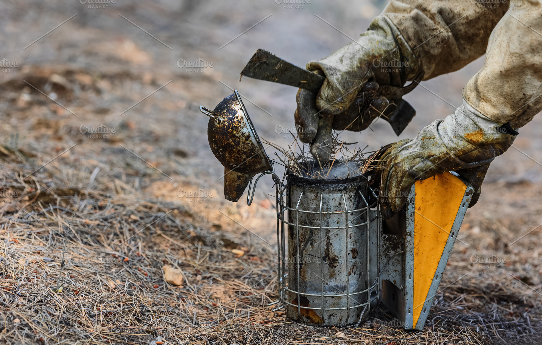 Beekeeper preparing a smoker in a na, an Industrial Photo by Perpis