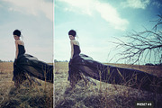 Split Tone Presets Mobile + Desktop, a Plug-in Add-On by PhotoSpirit (Thumbnail 3 of 10)