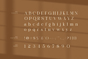 Nelina Elegant Serif Font, a Serif Font by Graphicxell (Thumbnail 7 of 8)