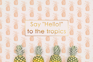 Tropical Illustrations & Patterns