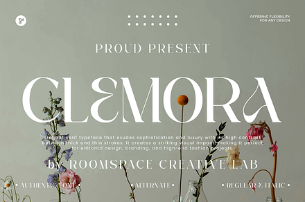 Clemora -  Feminine Minimal Beauty, a Serif Font by roomspace