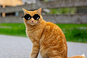 Pixel Sunglasses Set - Retro 8-bit, an Emoji Icon by MarkoBabii (Thumbnail 4 of 4)