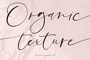 Modern Summer Calligraphy Logo Font, a Script Font by Mila Garret (Thumbnail 7 of 14)
