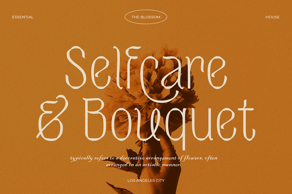 Sharon Elany, a Sans Serif Font by Get Studio (Photo 2 of 27)