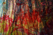 Dark texture abstract,Ordinary red, an Abstract Photo by Manis recycle abstract (Thumbnail 1 of 3)