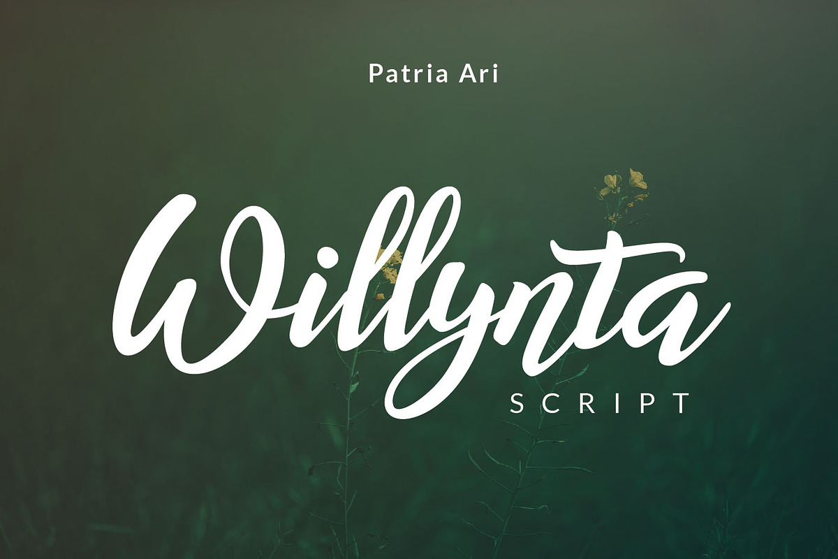 Willynta Script, a Script Font by Patria Ari (P4tcreativa) (Photo 1 of 13)