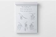 Line Art Protea Flower Elements, an Illustration by CL Creative Studio (Thumbnail 3 of 12)