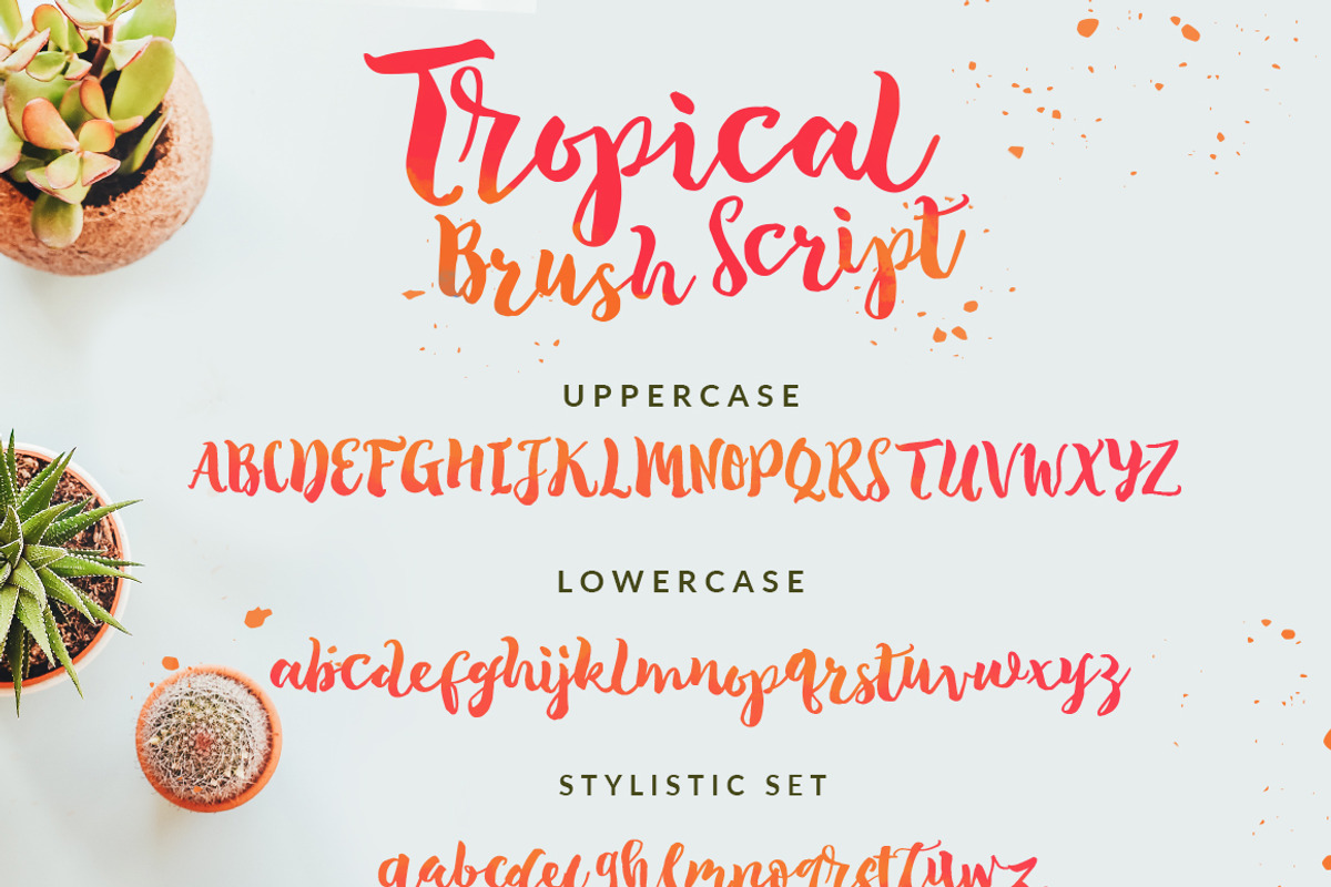 SALE !!! The Tropical - 5 Fonts, a Font by Dirtyline Studio (Photo 15 of 19)