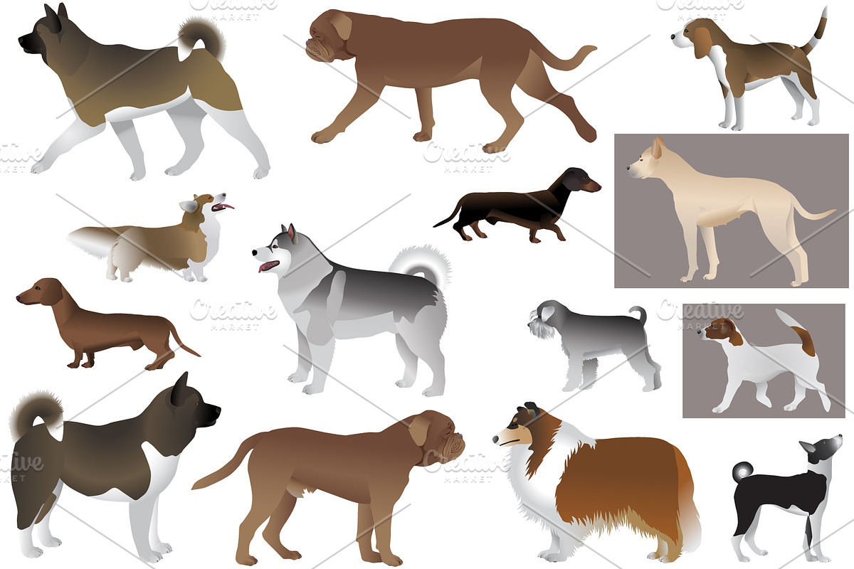 Dog show, an Animal Illustration by Viktoria.1703 (Photo 3 of 3)