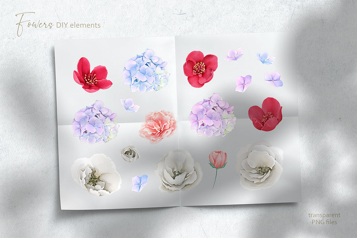 Watercolour Blooming Spring, an Illustration by Eva Katerina (Photo 13 of 17)