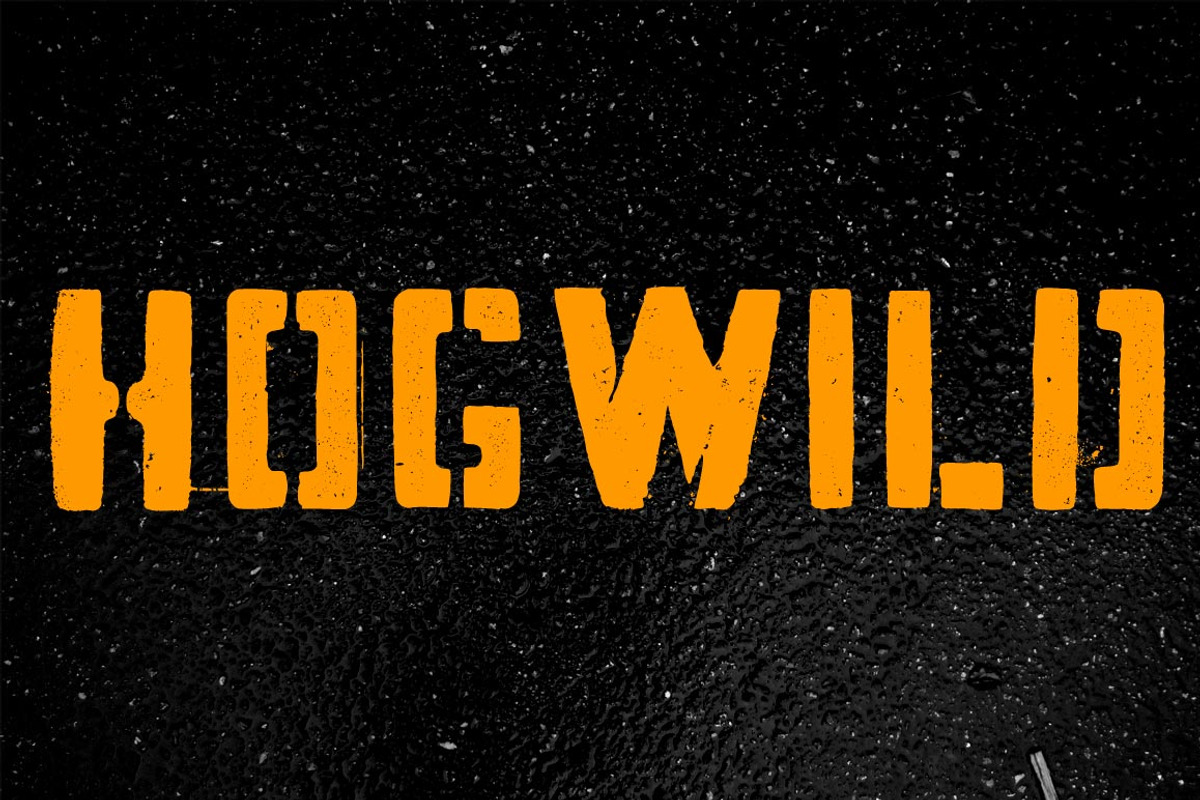 Hogwild