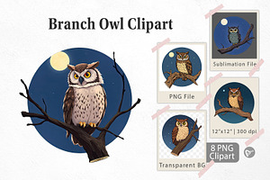 Branch Owl Clipart, a Graphic by Artnoy
