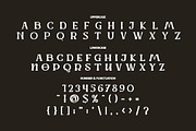 Werd - Modern Stylish Serif Font, a Serif Font by PutraCetol Studio (Thumbnail 12 of 13)