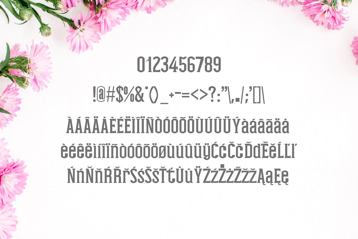 Nasya Slab Serif 4 Font Family Pack preview 4