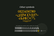 Retro Voice – Variable Serif Font, a Serif Font by Blessed Print (Thumbnail 26 of 29)
