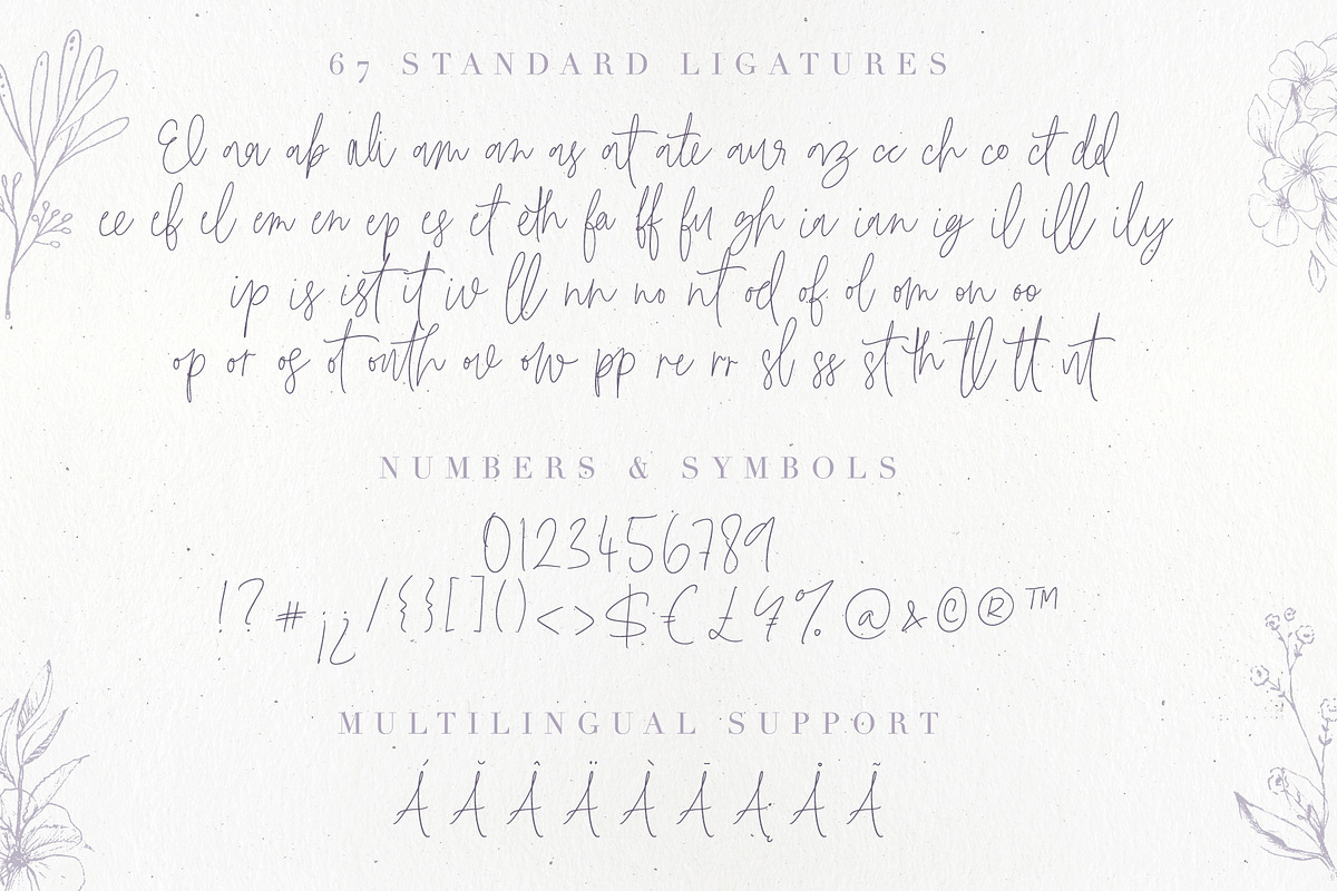 Bianca Kamelo Font, a Script Font by Ivan Rosenberg (Photo 10 of 11)