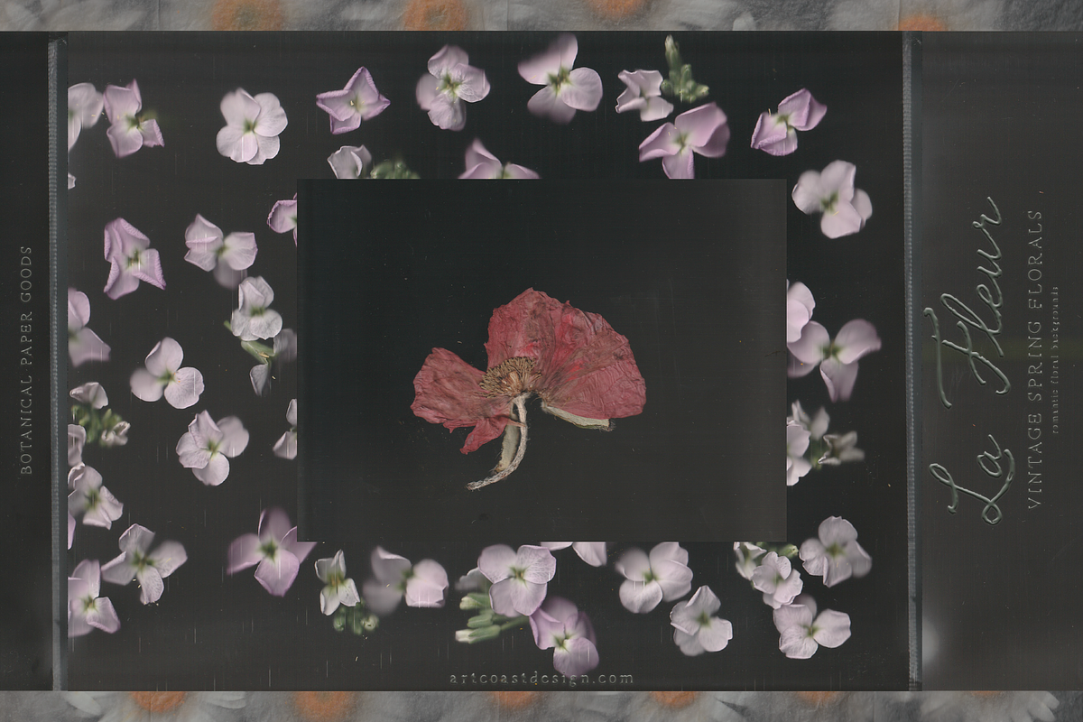 La Fleur — Vintage Spring Florals, a Wallpaper Graphic by nadispasibenko (Photo 2 of 12)
