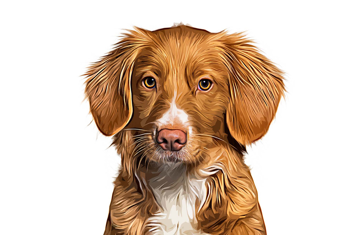 Pet Abstract Paint Photoshop Action, an Action Add-On by MRI STUDIO (Photo 9 of 9)