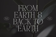 Mounchera - Art Deco Serif, a Serif Font by Variatype (Thumbnail 5 of 14)