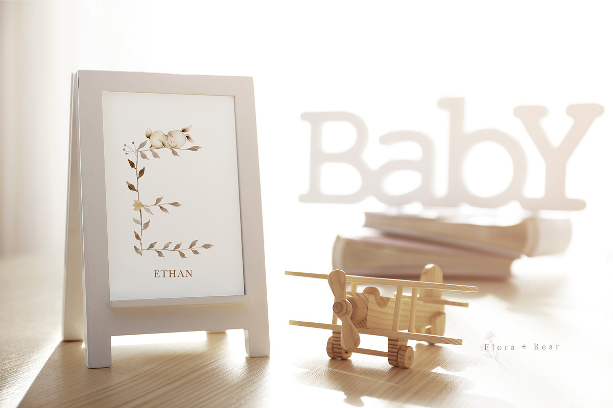 The Woodland Alphabet, an Animal Illustration by Flora+Bear (Photo 3 of 16)