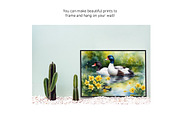 Watercolor Duck Pond Set 2, an Animal Illustration by Kat's Artful Creations (Thumbnail 4 of 9)