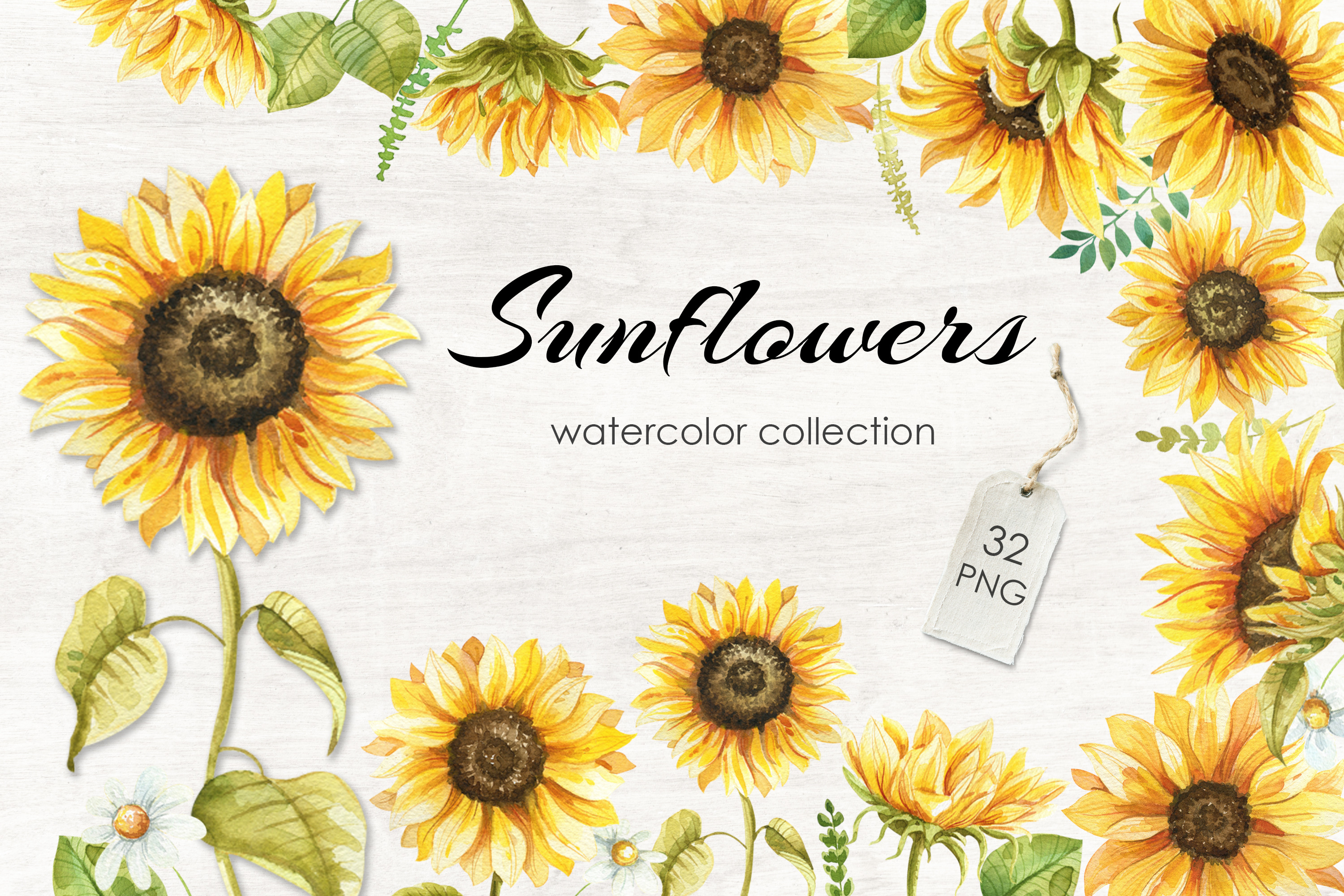 Sunflowers Watercolor Collection, an Illustration by Dervik Art Store