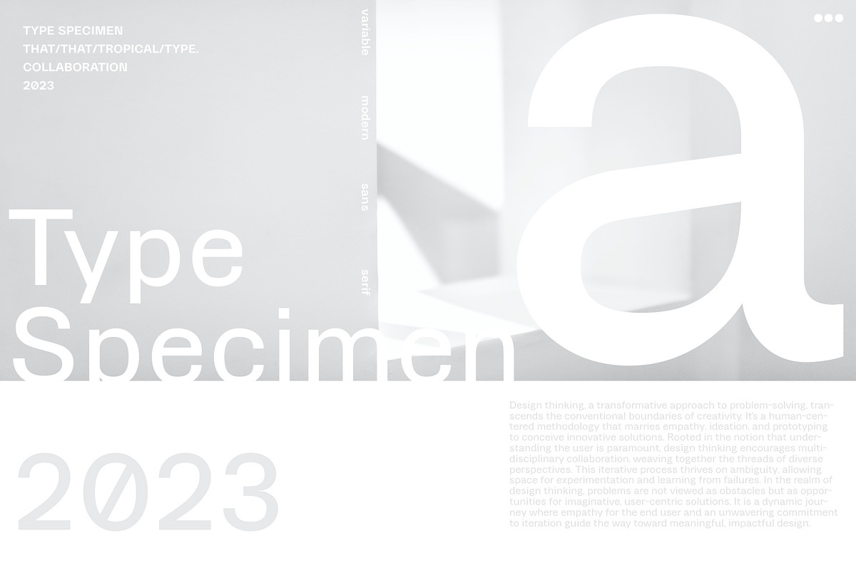 HONEYCHROME - VARIABLE TYPE SYSTEM, a Sans Serif Font by Tropical Type (Photo 9 of 14)