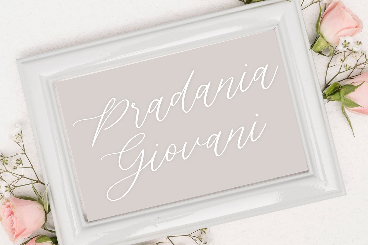 Silverweed - Calligraphy Script Font, a Script Font by Balpirick Studio (Photo 4 of 7)