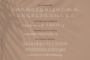 Estelle Lovely Script, a Script Font by Heinzel Std (Thumbnail 12 of 13)