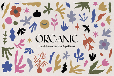 Organic Shapes and Patterns