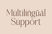 Casselin Modern Serif Font, a Serif Font by Letterena Studios (Thumbnail 12 of 15)