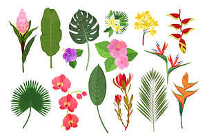 Decorative Exotic Flowers. Botanical