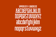Erasin, a Serif Font by lelevien (Thumbnail 5 of 6)