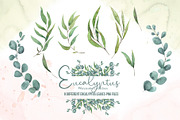 Watercolor Eucalyptus SET, a Decorative Illustration by TanataDesign (Thumbnail 11 of 16)