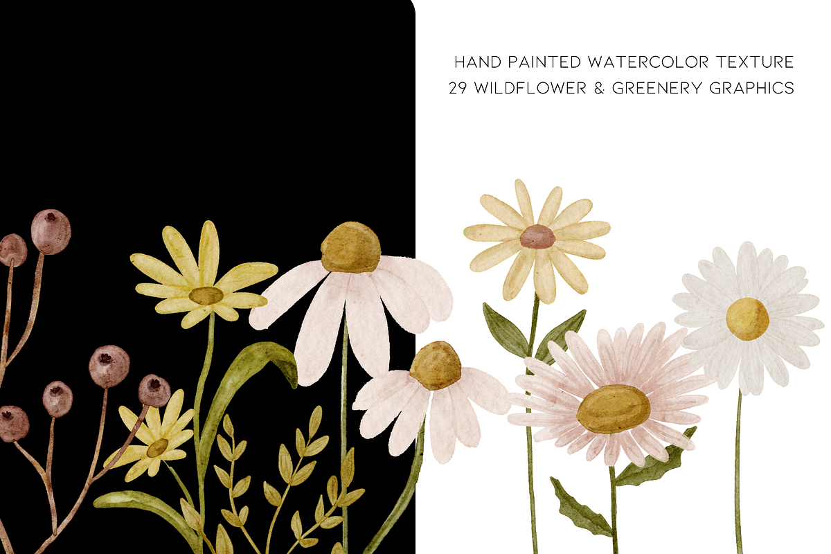 Watercolor Wild Flower Clipart, a Decorative Illustration by Murphy & Frank (Photo 7 of 9)