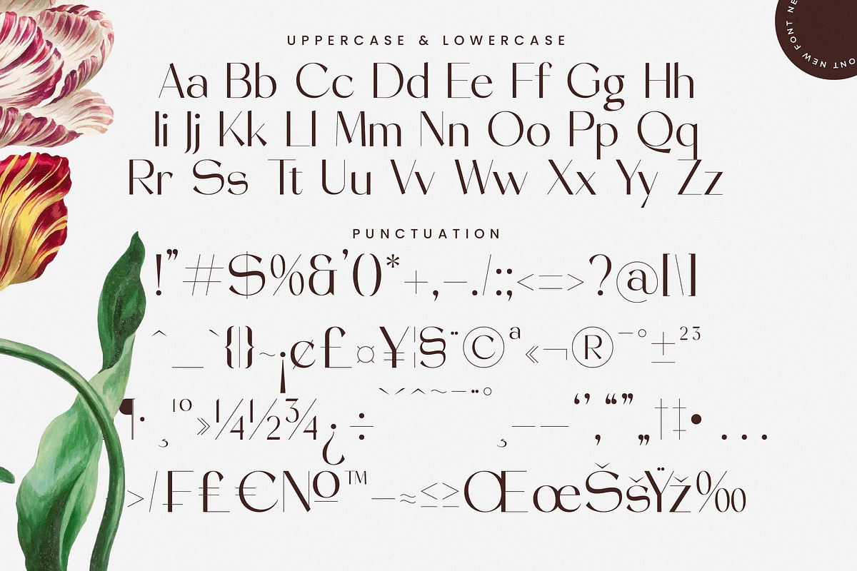 Stogne Gesture Modern Luxury Font, a Sans Serif Font by timelesstype.co (Photo 19 of 20)