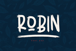 Robin Brush Font