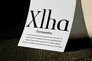 ZT Chablis - Classic serif, a Serif Font by zelow type (Thumbnail 10 of 15)