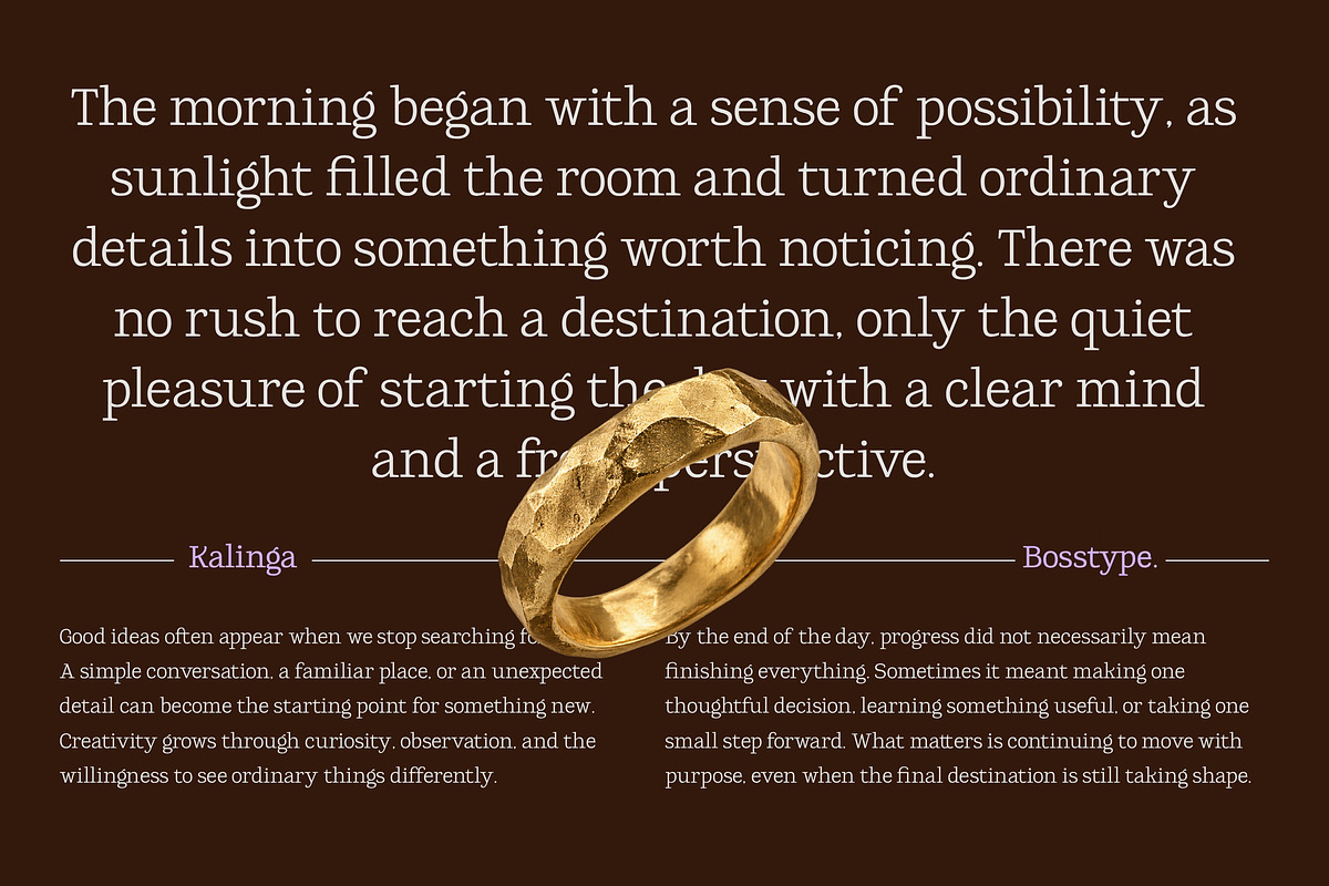 Kalinga | 91 Style Font, a Serif Font by Bosstype Studio (Photo 10 of 15)