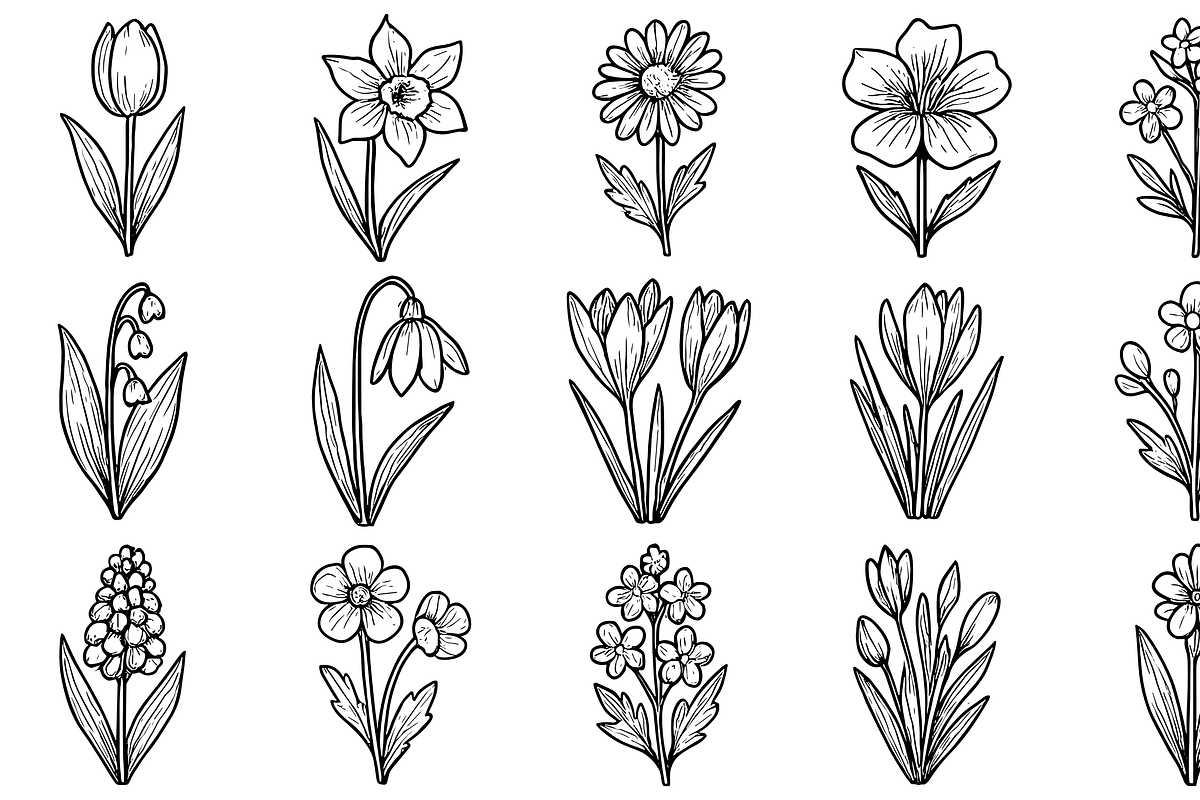 Spring Flowers Collection, an Object Graphic by nikagraphic