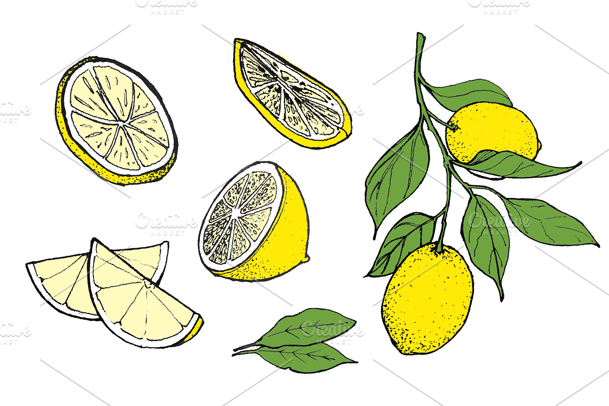 Hand-drawn Lemon Illustration, Color, a Food Illustration by Professional Assets
