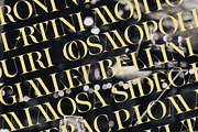 Spanish Archer - Ligature-Rich Font, a Serif Font by SilverStag Type Foundry (Thumbnail 15 of 19)