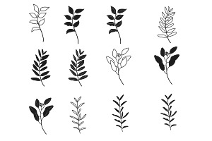 Leaf Set 2 Procreate Brush Stamps