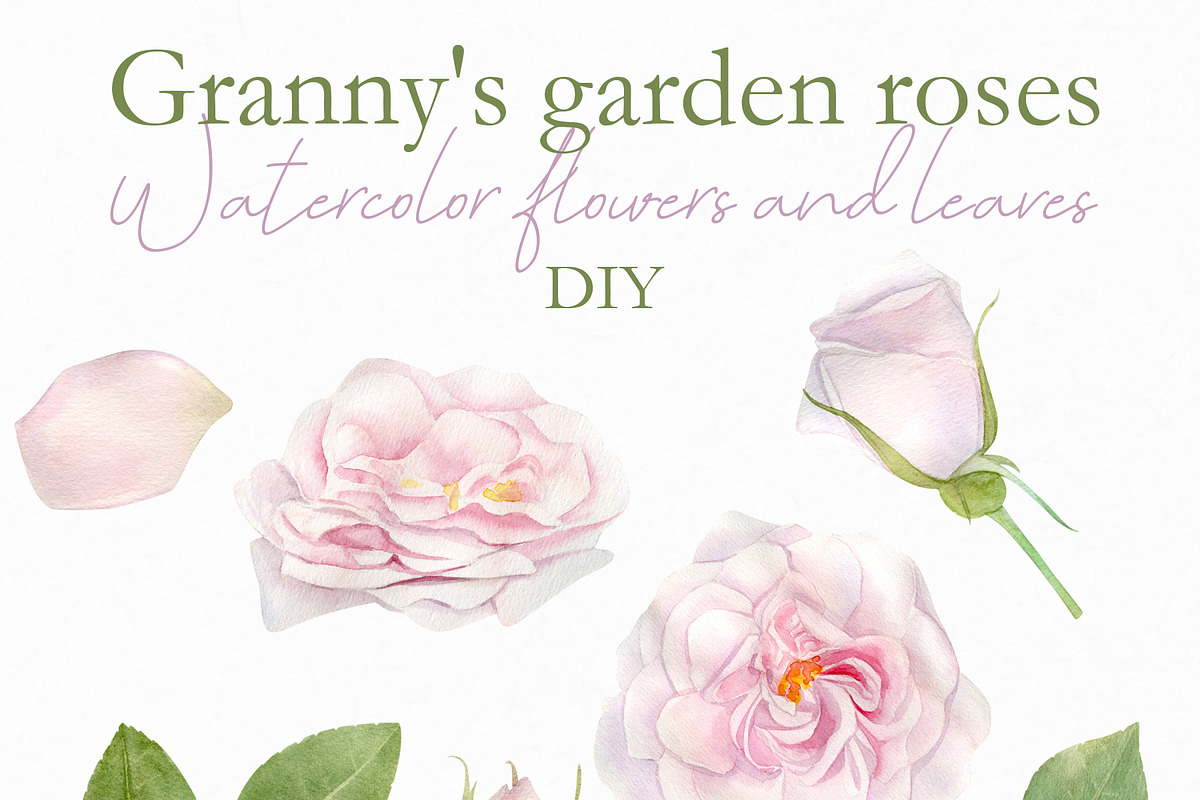 Pink Rose Pattern & Illustration, a Pattern Graphic by NataliArkushArt (Photo 14 of 15)
