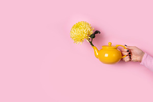 Hand holding a yellow teapot with a yellow chrysanthemum flower, a Holiday Photo by Ales Munt