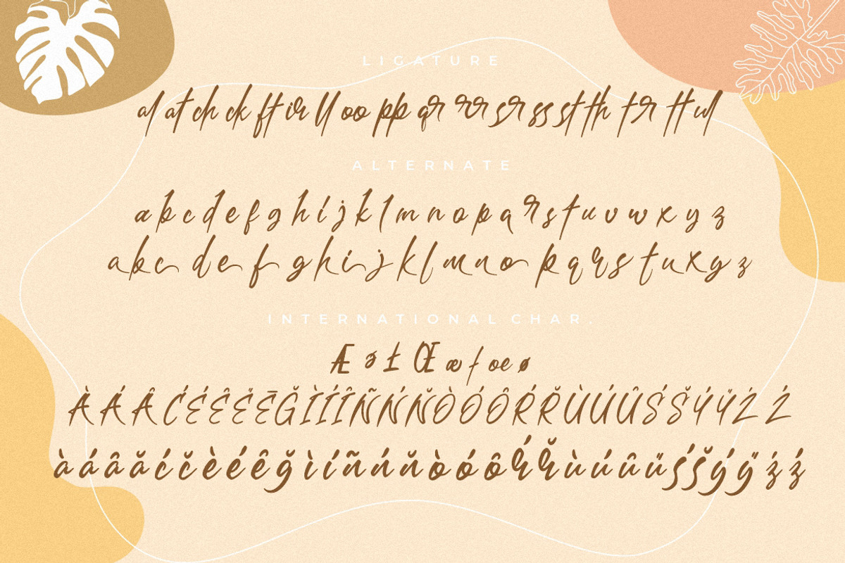 Bathersilla Brush Wedding Font, a Script Font by MikroType Std (Photo 8 of 9)