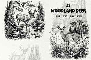 Woodland Deer Engraving Graphics