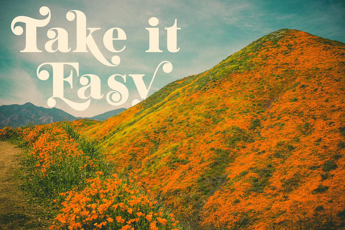 Mighty Aphrodite // A Classy Serif, a Serif Font by Megs Lang (Photo 20 of 22)